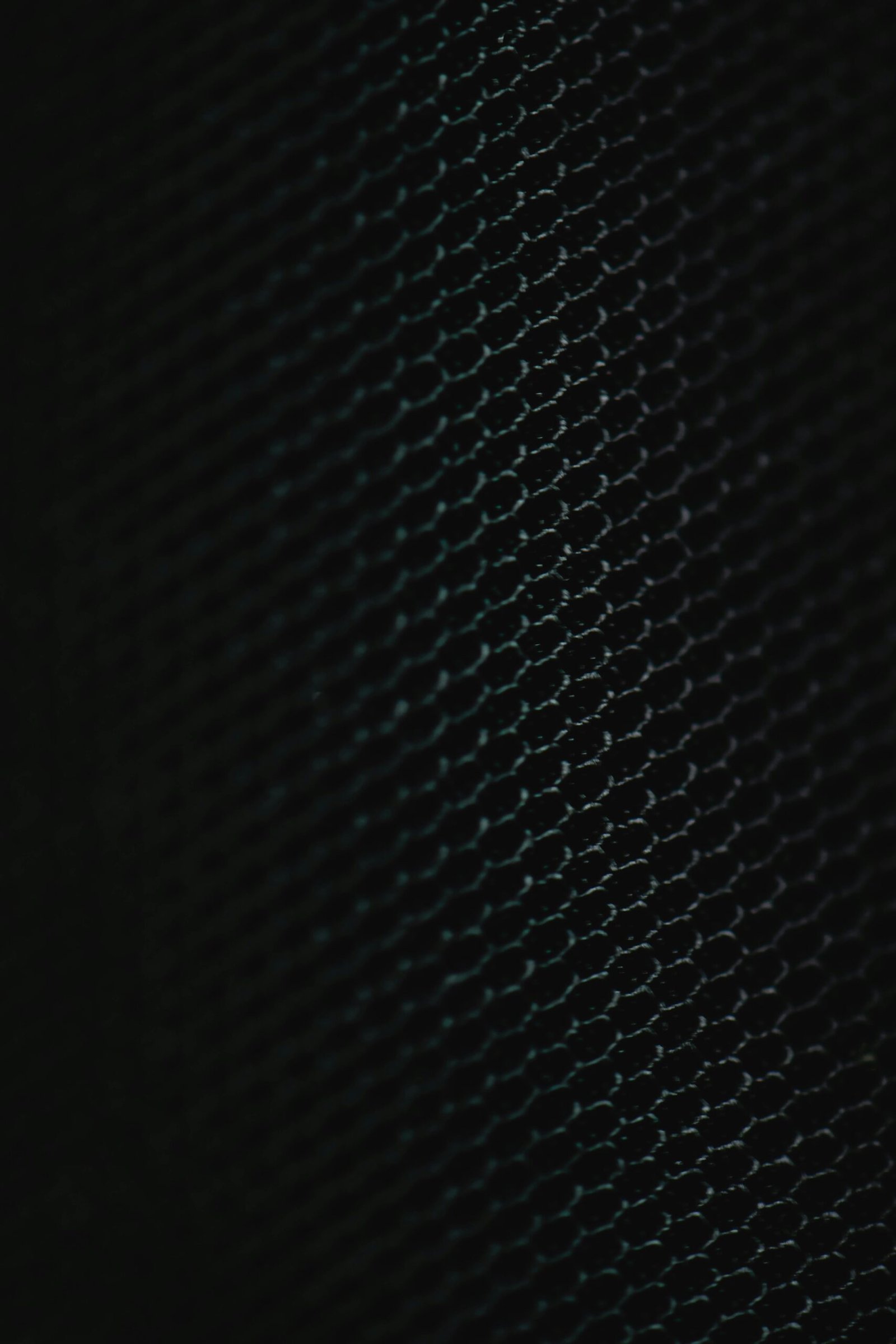 شركة تطوير برامج وأبلكيشن