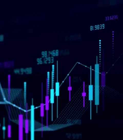 Data Analyst